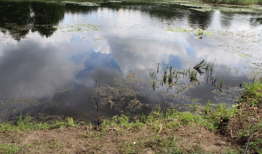 В Сморгонском районе на глазах у внука утонул дедушка