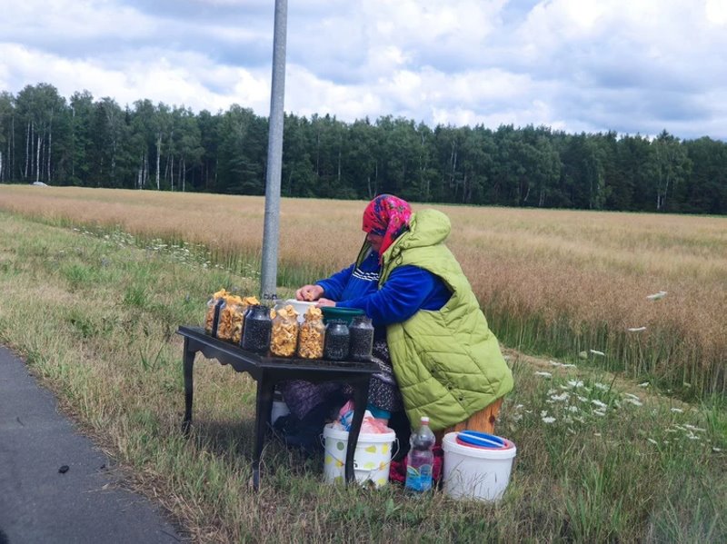 Фото из открытых источников (иллюстративное)