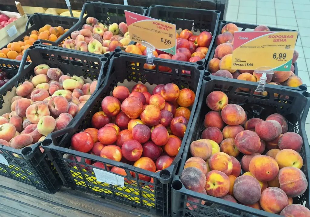 Ценник на бульбу с огурцом: в овощном магазине, на рынке и в супермаркете. Почем сезонные овощи и фрукты в Бресте?