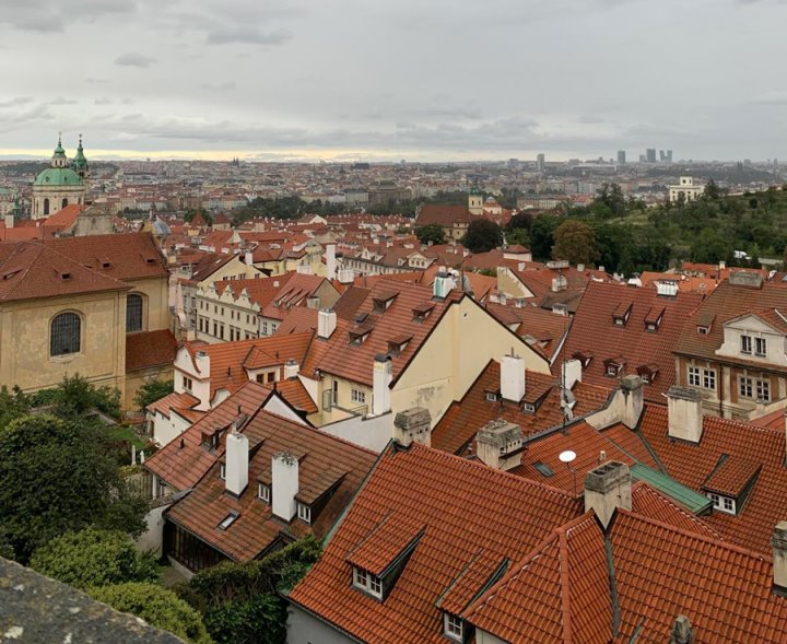 Лучший результат среди 2,5 тысяч: как белоруска поступила в чешский вуз