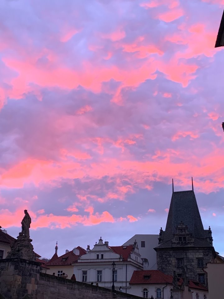 Лучший результат среди 2,5 тысяч: как белоруска поступила в чешский вуз