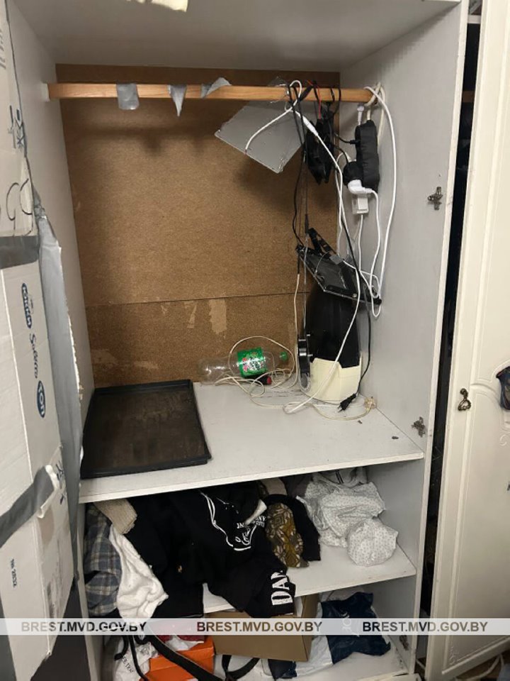 Задержан брестчанин, который выращивал в квартире коноплю