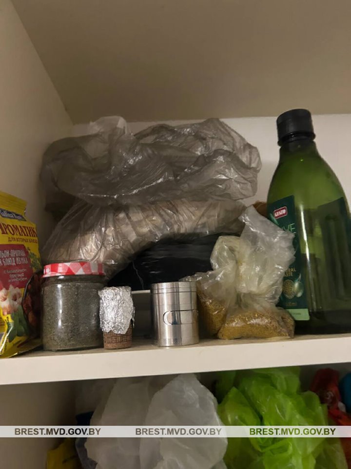 Задержан брестчанин, который выращивал в квартире коноплю