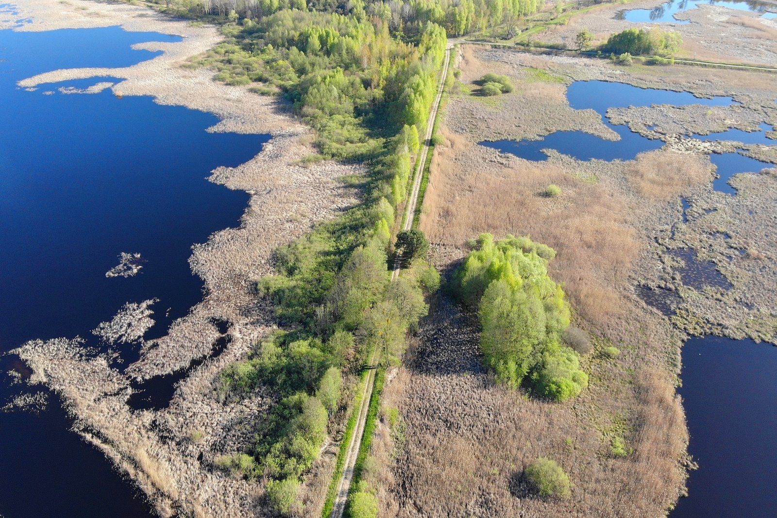 Баня, домики у воды и рыбалка: как круто отдохнуть в ДЗИК недалеко от Бреста