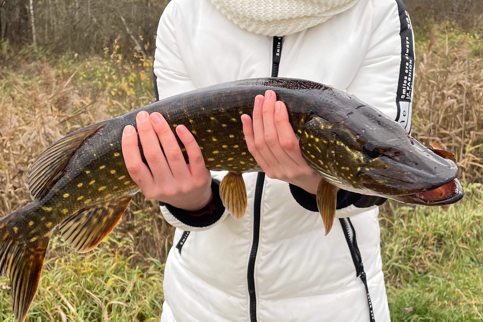Баня, домики у воды и рыбалка: как круто отдохнуть в ДЗИК недалеко от Бреста