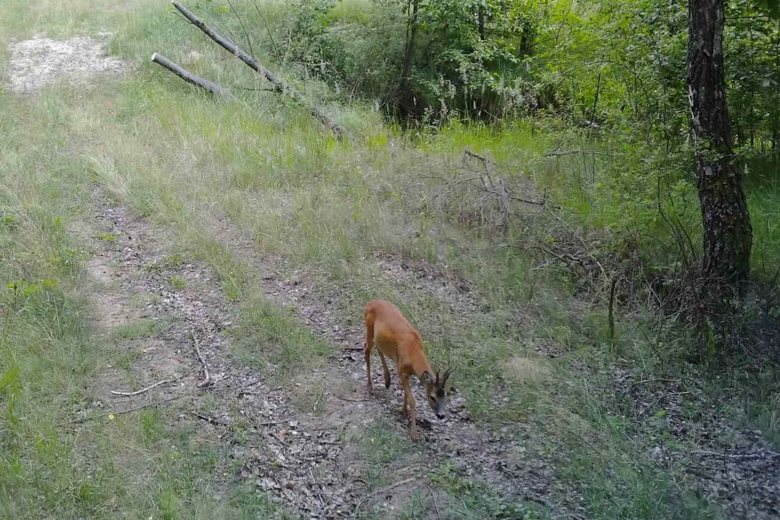 Баня, домики у воды и рыбалка: как круто отдохнуть в ДЗИК недалеко от Бреста