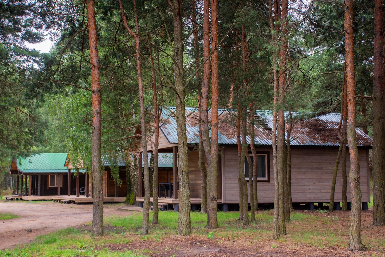 Баня, домики у воды и рыбалка: как круто отдохнуть в ДЗИК недалеко от Бреста