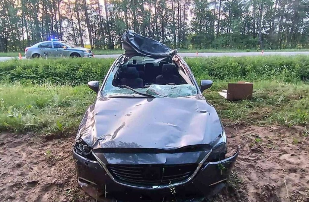 Белорусы, пострадавшие в ДТП с животными, смогут получать страховку