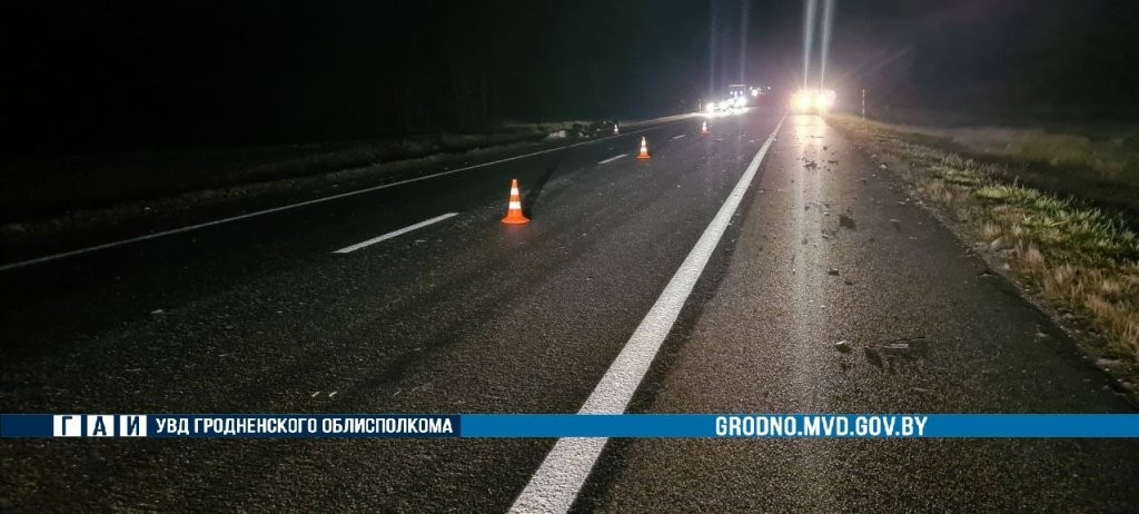 В Гродненской области Lada Priora сбила лося. Погиб 21-летний водитель