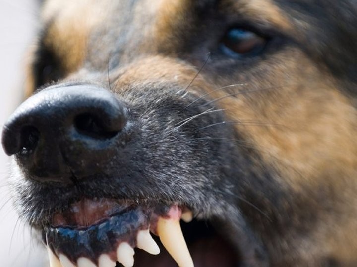 Фото из открытых источников (иллюстративное)