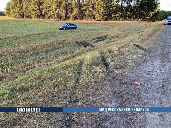 Автомобиль в Лунинецком районе «вылетел» в кювет