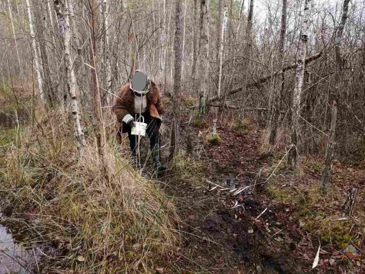 Найдена женщина, которая потерялась в Пинском районе