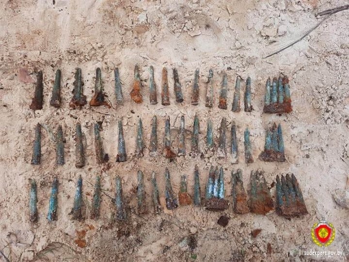 Свыше 40 костных останков и более 50 патронов найдены на кладбище в Кобринском районе