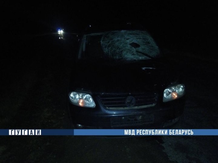 В Каменецком районе произошло смертельное ДТП