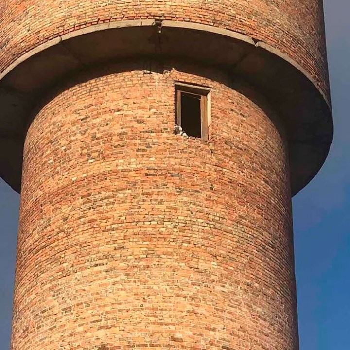 Кобринские спасатели сняли кошку с верхушки водонапорной башни, животное провело там 10 дней