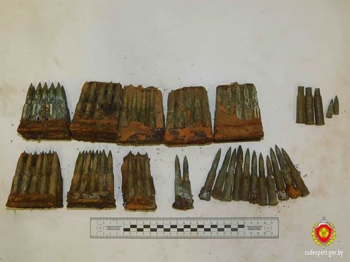 Мужчина выкопал у себя на огороде патроны. Случай в Брестском районе