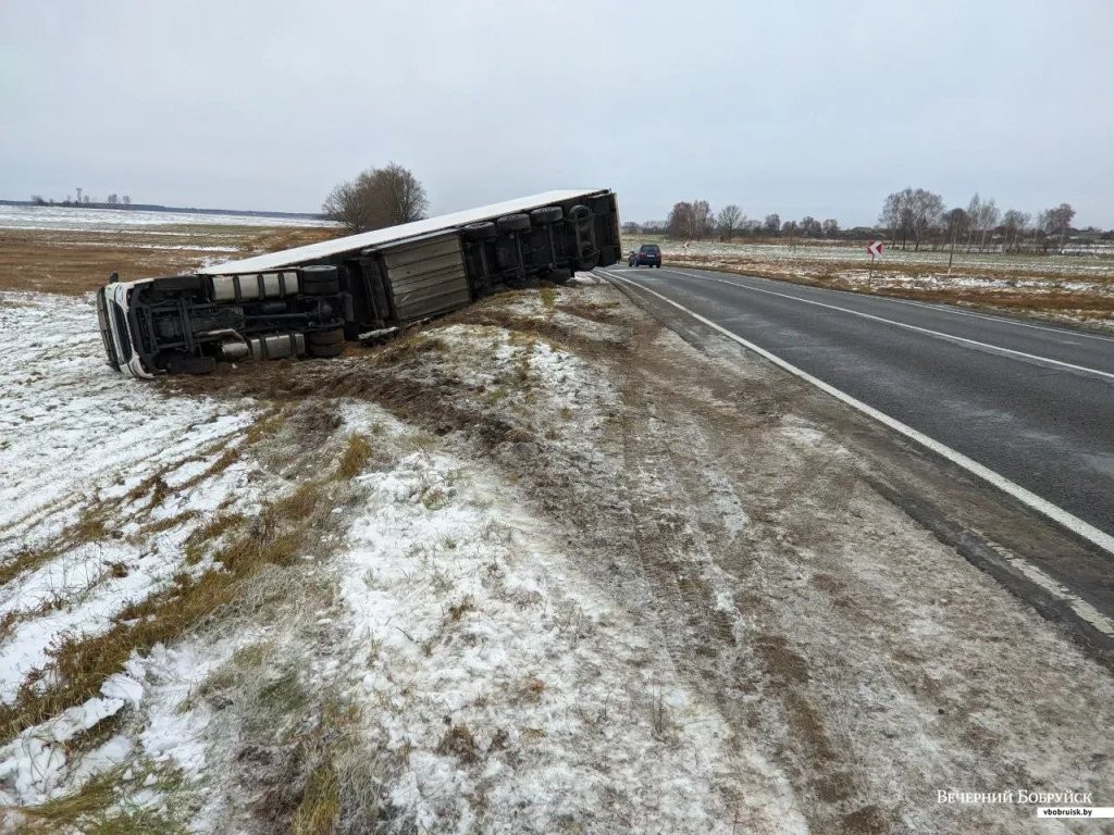 Под Бобруйском перевернулась фура. Водитель из Бреста в больнице