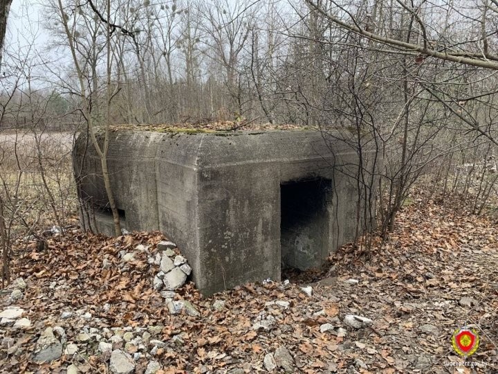 Стали известны подробности гибели людей, чьи тела нашли в ДОТе под Барановичами