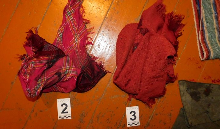 Стали известны некоторые подробности убийства пенсионерки в Пружанском районе