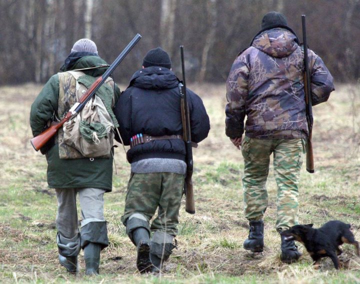 Фото из открытых источников (иллюстративное)