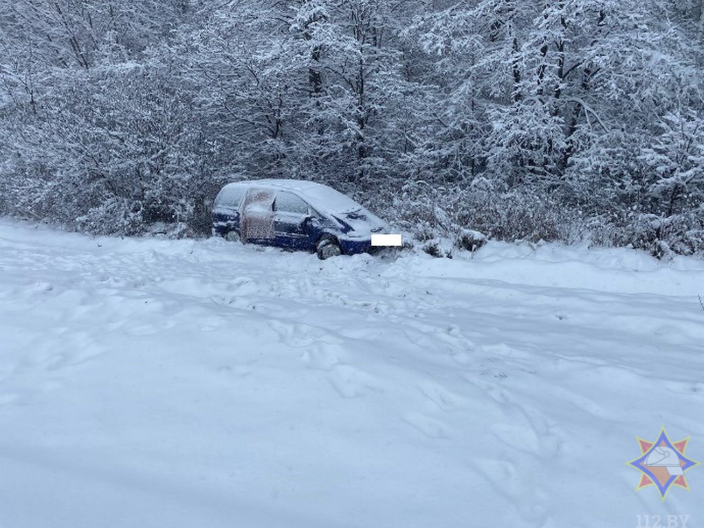 Последствия выпадения снега в Брестской области