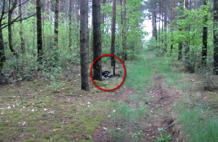 В Бресте начинается суд над убийцей 25-летней официантки из Пружан