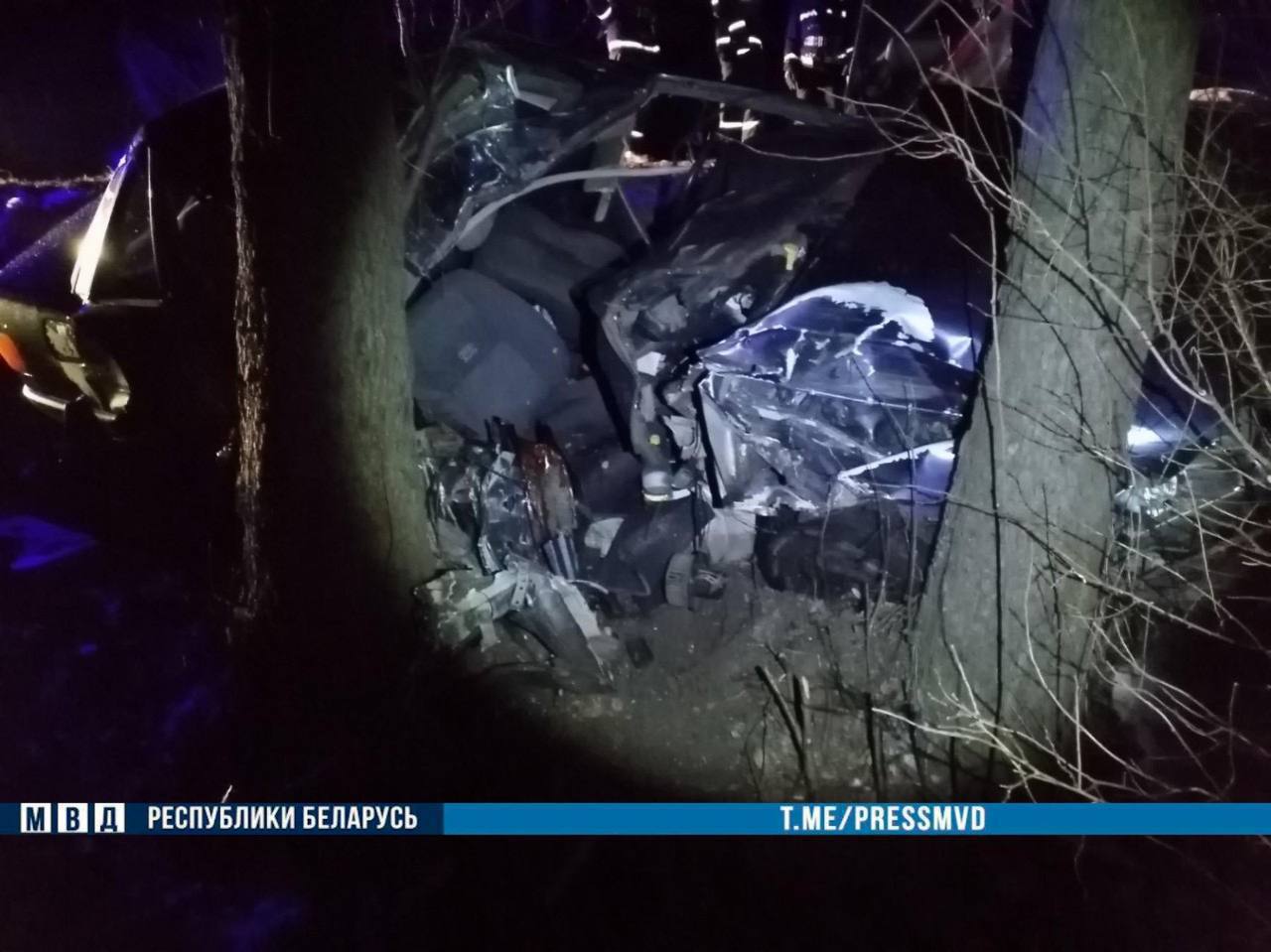 Ночью в Кобринском районе 18-летний водитель Audi врезался в дерево - погиб пассажир