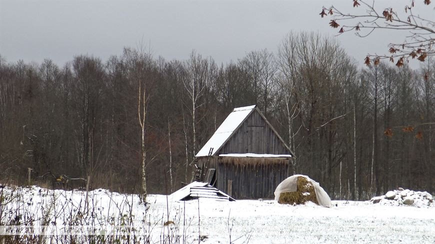 Как белоруска, вернувшаяся после 16 лет жизни в США, восстанавливает маленькую деревню