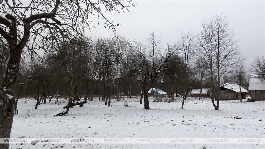 Как белоруска, вернувшаяся после 16 лет жизни в США, восстанавливает маленькую деревню