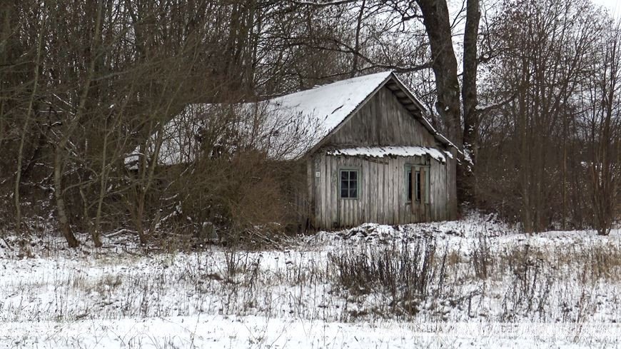 Как белоруска, вернувшаяся после 16 лет жизни в США, восстанавливает маленькую деревню