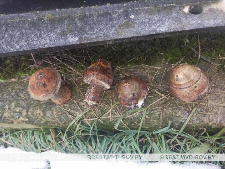Взрыватели к снарядам времен войны нашли при сортировке свеклы в Жабинке