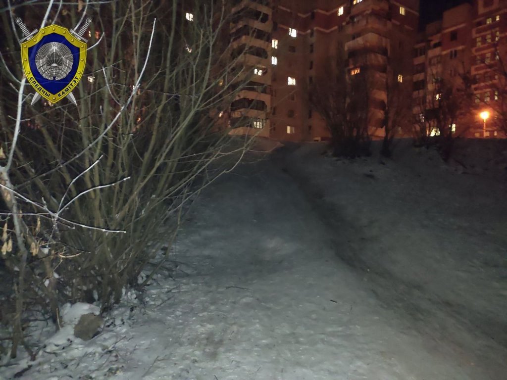 В Барановичах 11-летний мальчик на тюбинге врезался в дерево