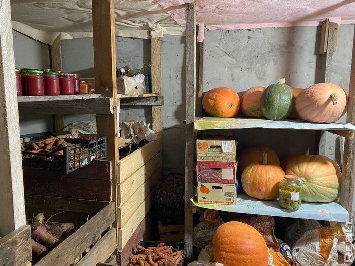 «Наш дом даст фору городской квартире». Молодая семья приехала в деревню по распределению — и осталась навсегда