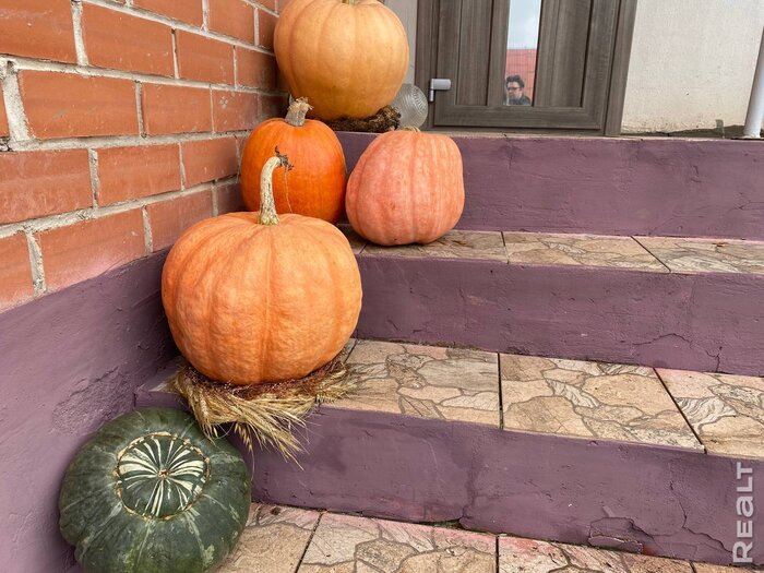 «Наш дом даст фору городской квартире». Молодая семья приехала в деревню по распределению — и осталась навсегда