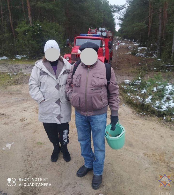 В Брестском районе супруги отправились за грибами и заблудились