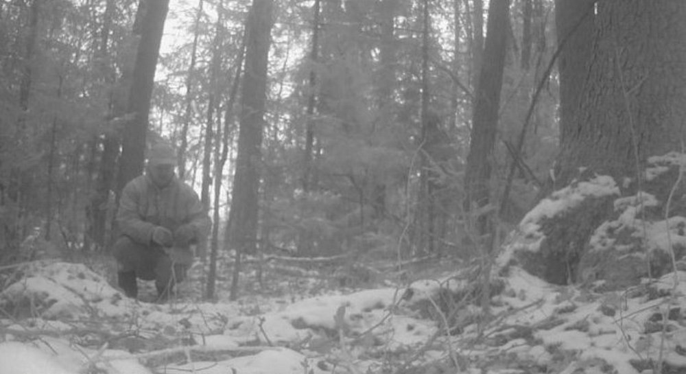 Жителя Пружанского района задержали с петлями для отлова животных в Беловежской пуще