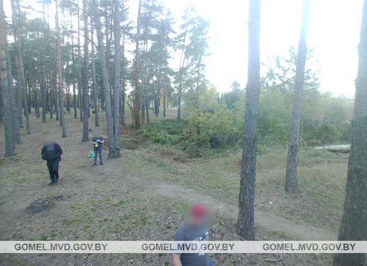 В Беларуси 35-летний мужчина украл фотоловушку из леса и сам попал в нее