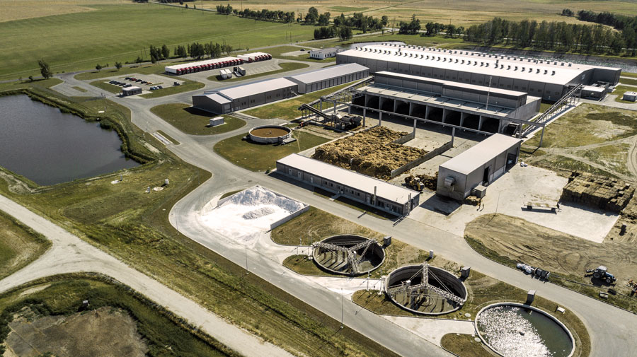 Комплекс по выращиванию грибниц в Кобринском районе замещает импорт и закрывает более половины потребностей внутреннего рынка