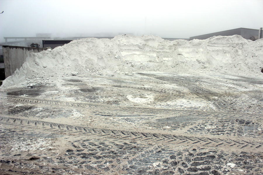 Комплекс по выращиванию грибниц в Кобринском районе замещает импорт и закрывает более половины потребностей внутреннего рынка