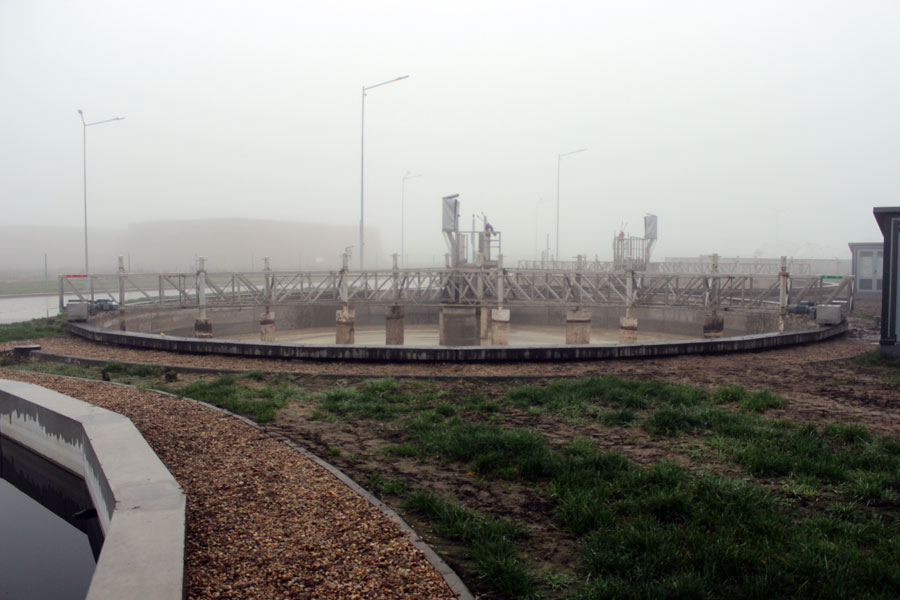 Комплекс по выращиванию грибниц в Кобринском районе замещает импорт и закрывает более половины потребностей внутреннего рынка