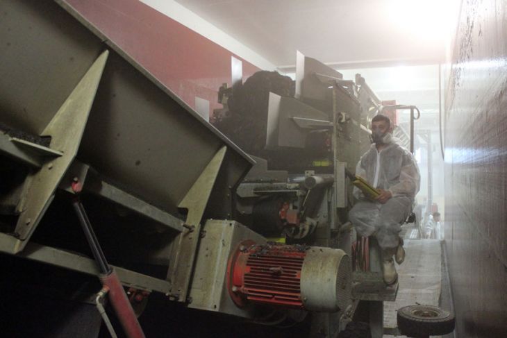 Комплекс по выращиванию грибниц в Кобринском районе замещает импорт и закрывает более половины потребностей внутреннего рынка