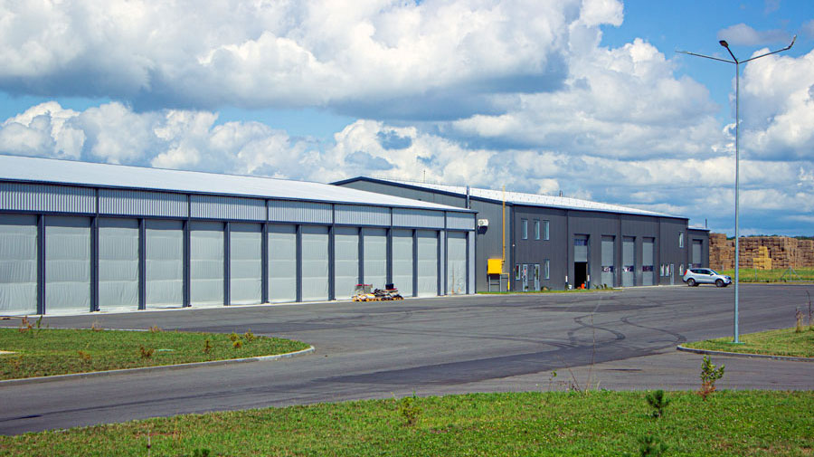 Комплекс по выращиванию грибниц в Кобринском районе замещает импорт и закрывает более половины потребностей внутреннего рынка