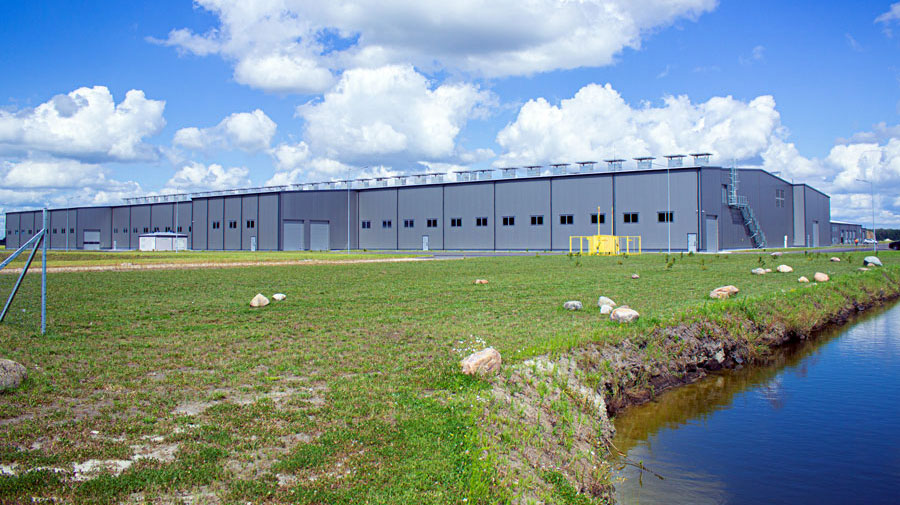 Комплекс по выращиванию грибниц в Кобринском районе замещает импорт и закрывает более половины потребностей внутреннего рынка