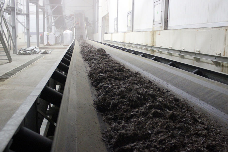 Комплекс по выращиванию грибниц в Кобринском районе замещает импорт и закрывает более половины потребностей внутреннего рынка