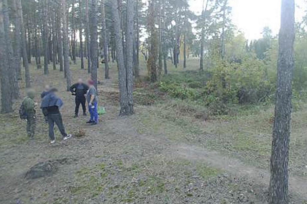 Показываем, что фиксируют фотоловушки в наших лесах