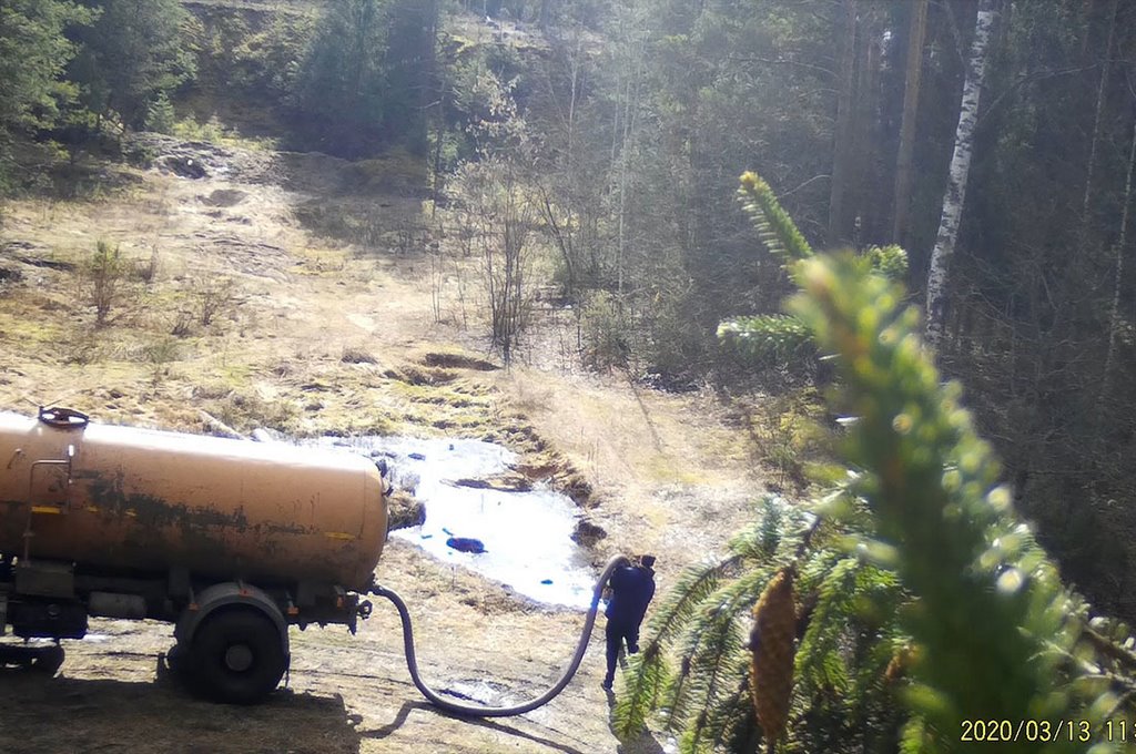 Показываем, что фиксируют фотоловушки в наших лесах