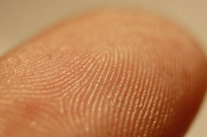 Фото из открытых источников (иллюстративное)