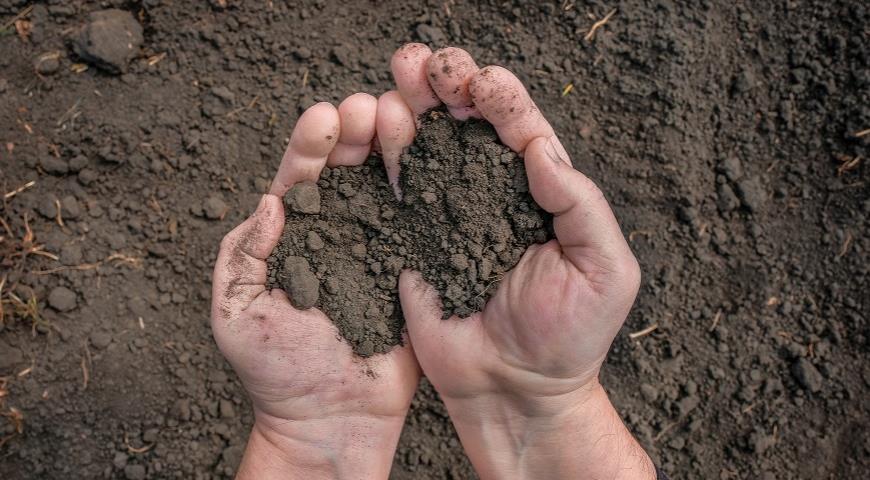 Фото из открытых источников (иллюстративное)