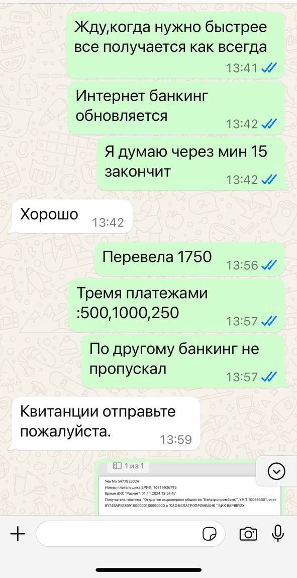 Белоруска заплатила 11 640 рублей за путевку в ОАЭ, но никуда не улетела