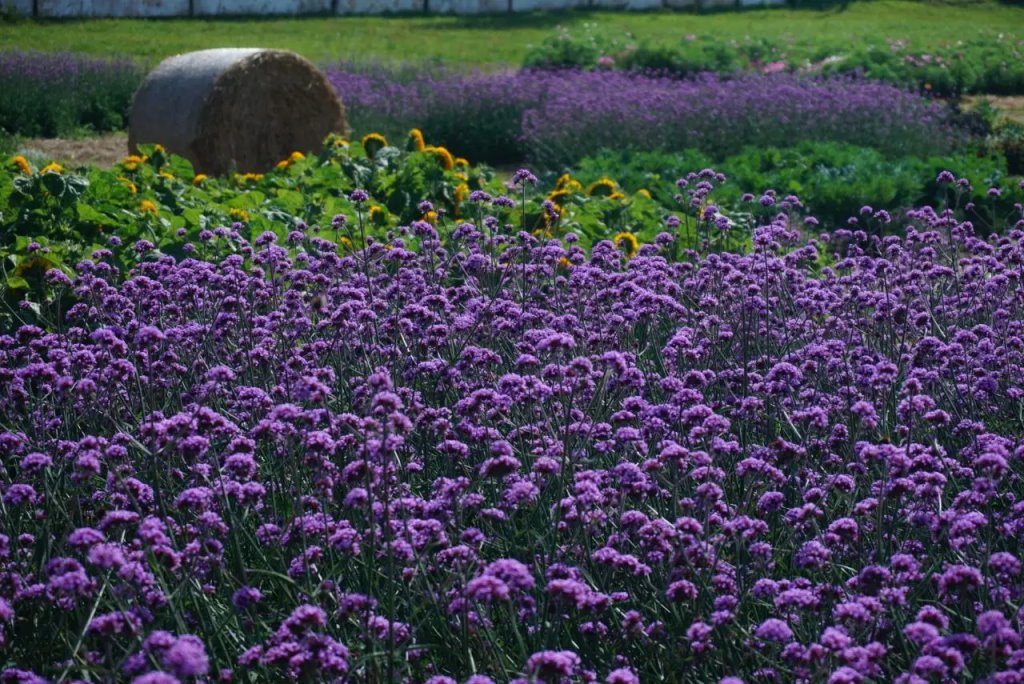Брестский блогер побывал в гостях у Андрея Малахова